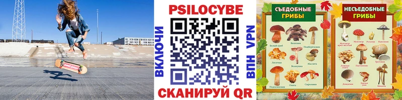Псилоцибиновые грибы Magic Shrooms Ядрин